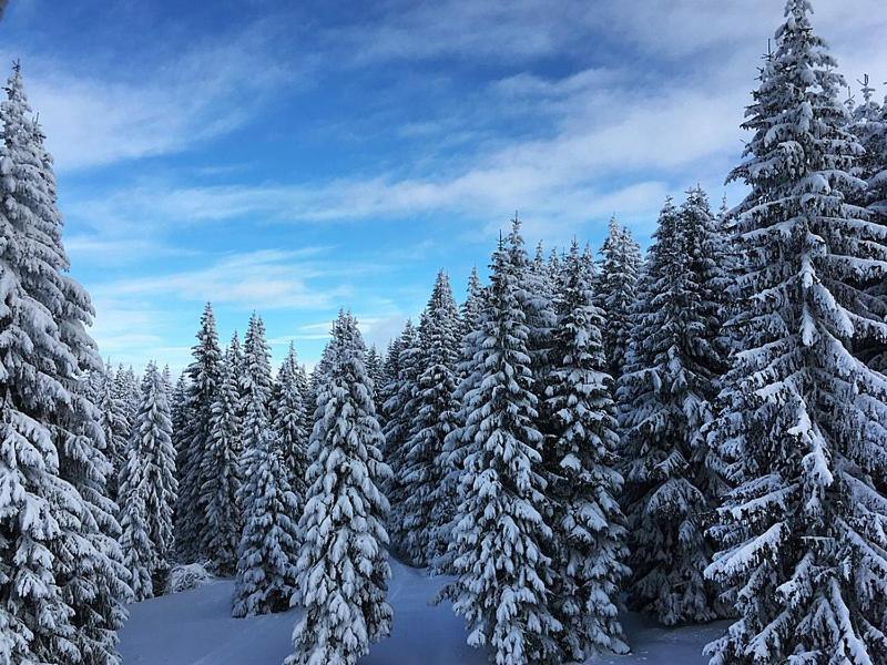 Sunset View Ski & Spa Apartments Kopaonik Exterior foto
